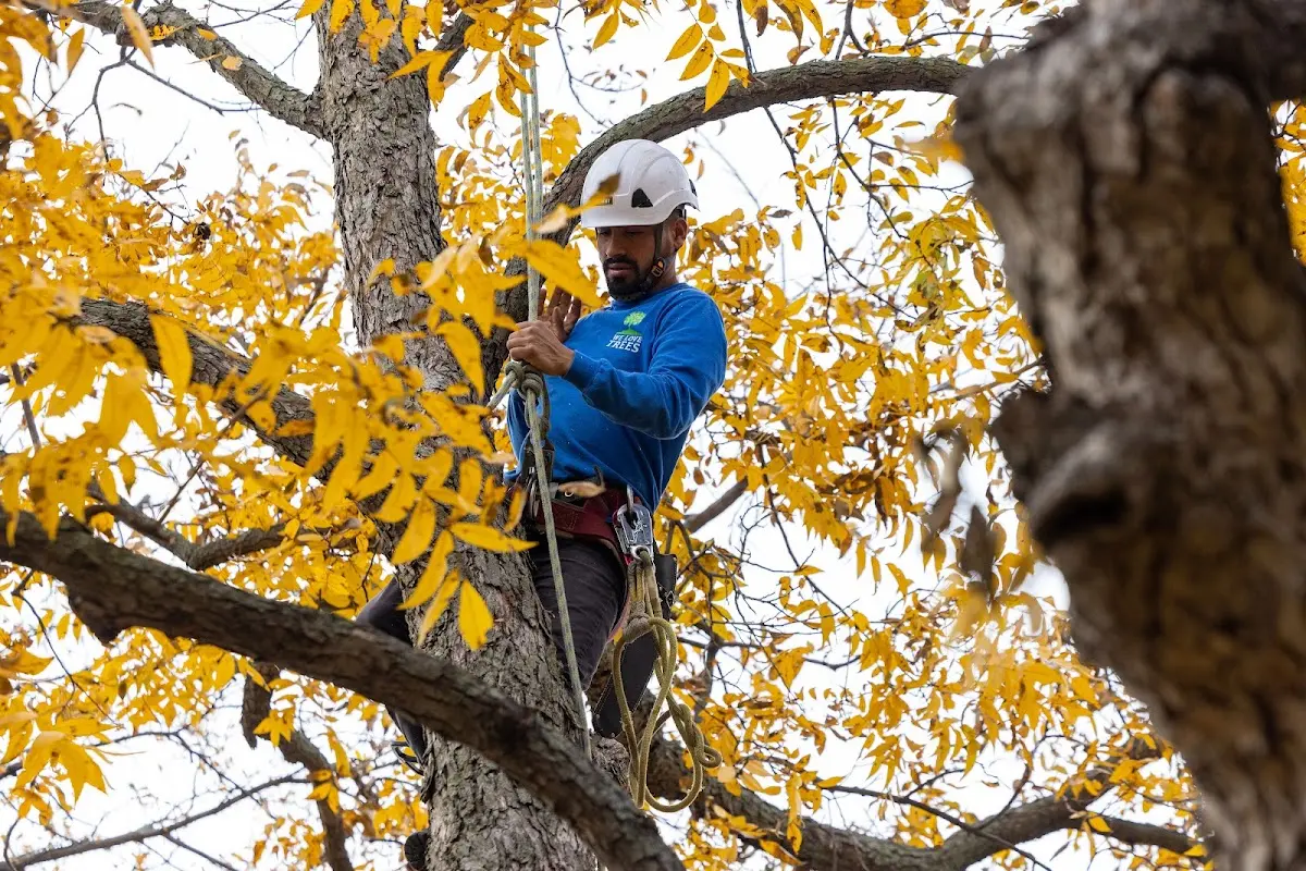 Skilled Storm Damage Cleanup crew working in Kamiah
